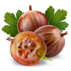 Similar image 2916856