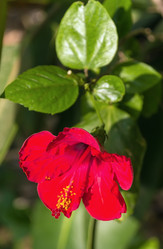 Similar image 2916876