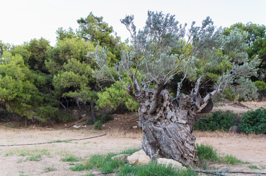 Similar image 2916882