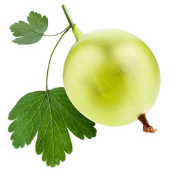 Similar image 2916886