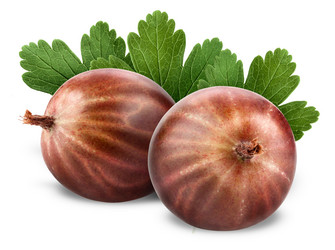 Similar image 2916889