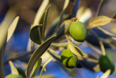 Similar image 2916902