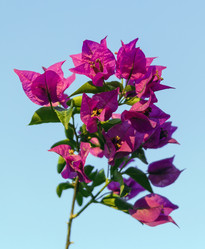 Similar image 2916903