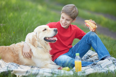 Similar image 2917053