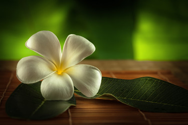 Similar image 2917163