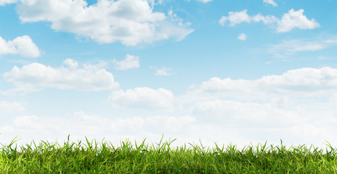 Similar image 2917166