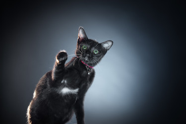 Similar image 2917181