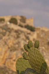 Similar image 2917219