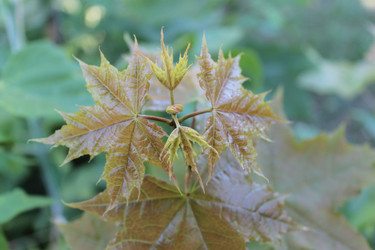 Similar image 2917227