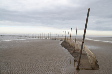 Similar image 2917273