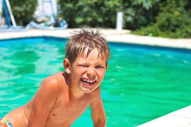 Similar image 2917454