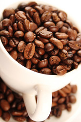 Similar image 2917519