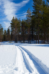 Similar image 2917568