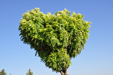 Similar image 2917658