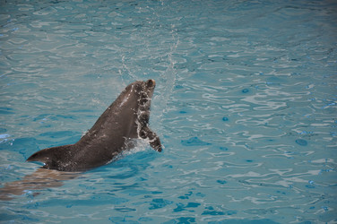 Similar image 2917674