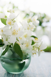 Similar image 2917691