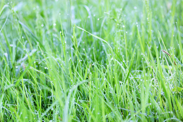 Similar image 2917701