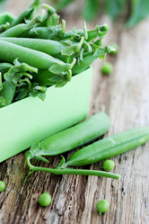 Similar image 2917795