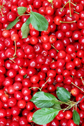 Similar image 2917854