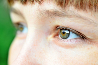 Similar image 2917868