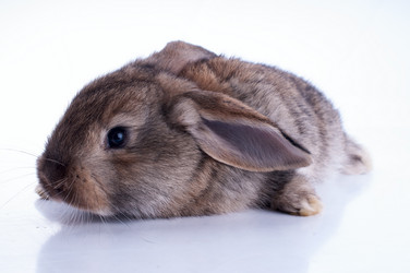 Similar image 2917931