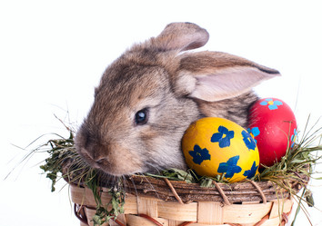 Similar image 2917933