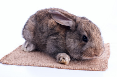 Similar image 2917936