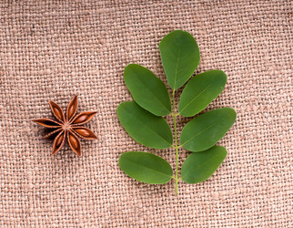 Similar image 2917939