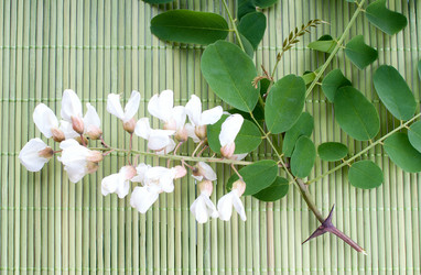 Similar image 2917944