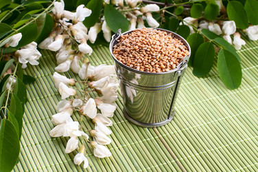 Similar image 2917946