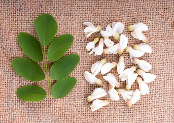 Similar image 2917947