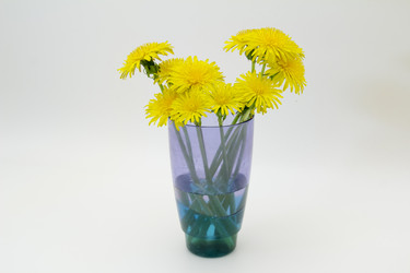 Similar image 2917955