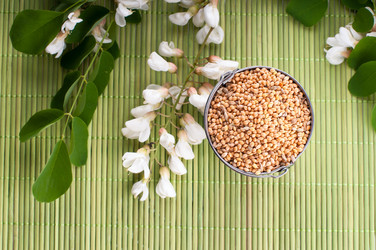 Similar image 2917970