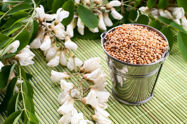 Similar image 2917971