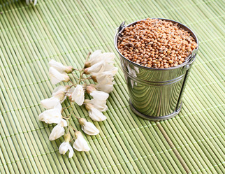 Similar image 2917973