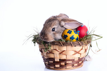 Similar image 2917975