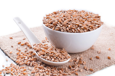 Similar image 2917977