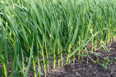 Similar image 2917982