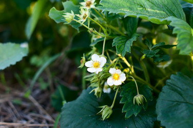 Similar image 2917992