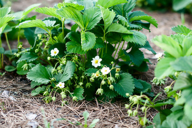 Similar image 2917994