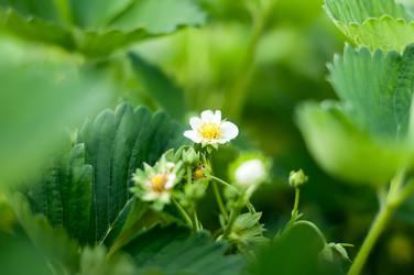 Similar image 2917996