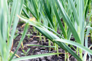 Similar image 2918001