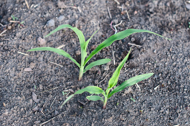 Similar image 2918005