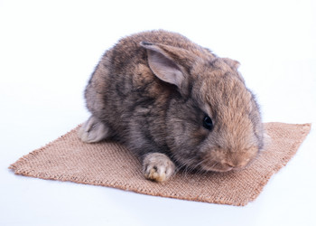 Similar image 2918010