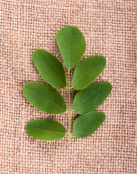 Similar image 2918011