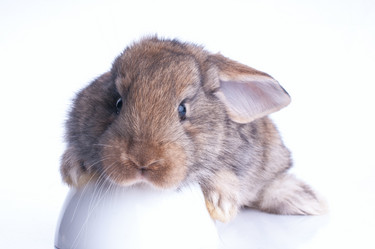 Similar image 2918012