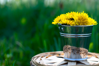 Similar image 2918024