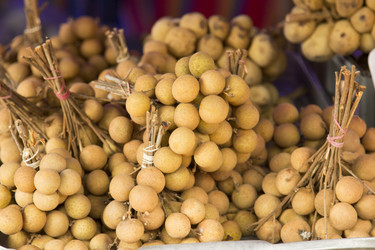 Similar image 2918025