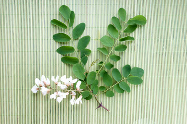 Similar image 2918033