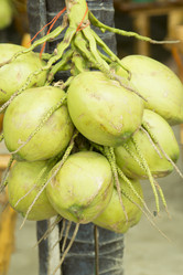 Similar image 2918034